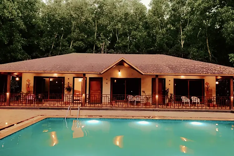 Swimming pool area surrounded by lush greenery at Dew Drops Jungle Resort