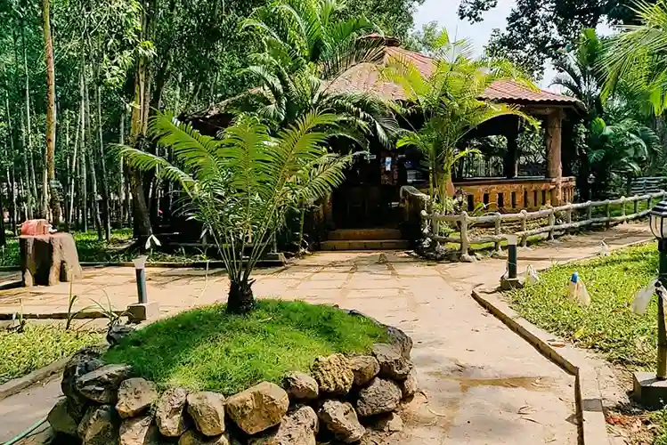 Landscaped gardens and natural surroundings at Dew Drops Resort