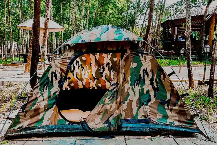 Nature view from Dew Drops Resort overlooking forest canopy